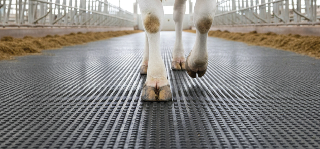Rubber Mats for Animal Stalls
